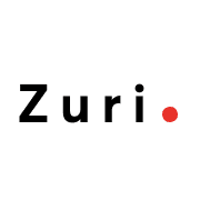 Zuri.team, my experience so far.